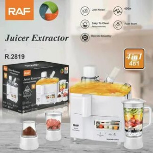 Соковыжималка RAF 4B1 R.2819W